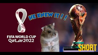 WE LET HAMSTER PREDICT all World Cup 2022 Matches! [SHORT]
