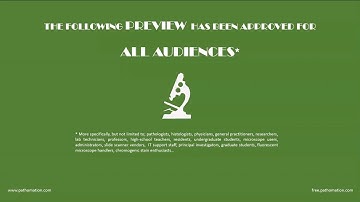 PMA.start free viewer for digital pathology and virtual microscopy