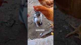 Amrapali Dubey Bhojpuri Song Bhojpuri Status Bhojpuri , , ,