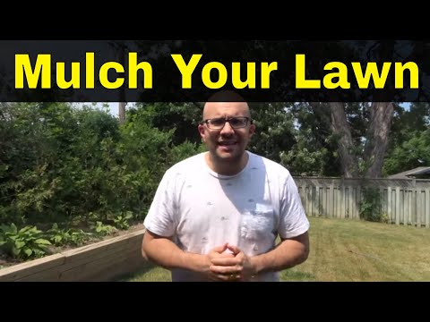Video: How To Mulch With Grass To Increase Yields