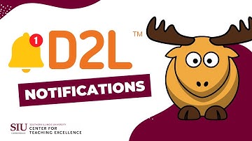 How to Set Up & Manage D2L Notifications