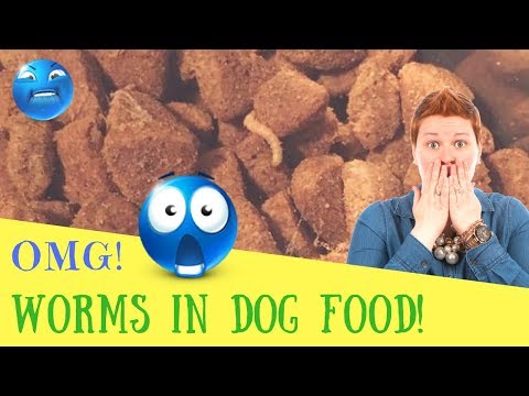 omg!-worms-in-dog-food!