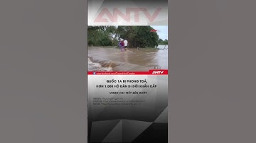 Hơn 1.700 căn nhà ở Lâm Đồng bị ngập, di dời khẩn cấp người dân  #antv #thoisu #shorts #mualu