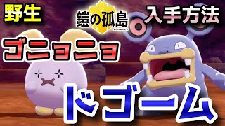 鎧の孤島 ゴニョニョ ドゴーム 野生での出現場所 入手方法 バクオングへの進化条件も実況解説 ポケモン剣盾 ニャン速ちゃんねる Youtube
