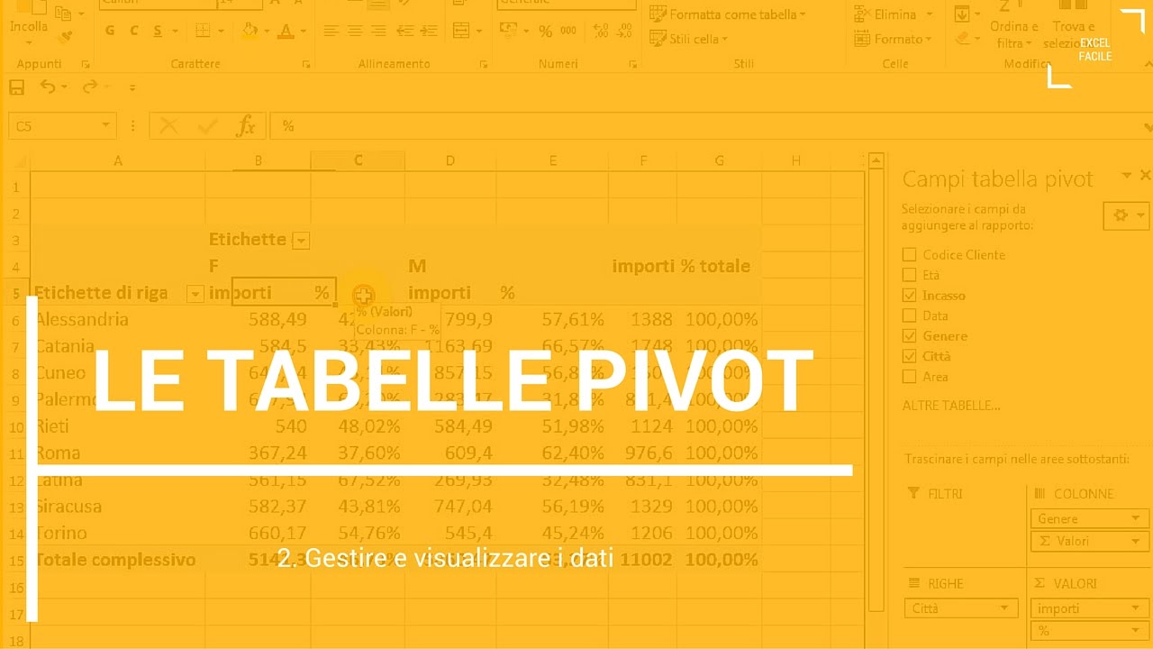 Tabelle Pivot (come gestire e visualizzare i dati) - Excel Facile