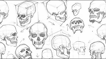 Drawing A Skull (From Different Angles) (Time-lapse)