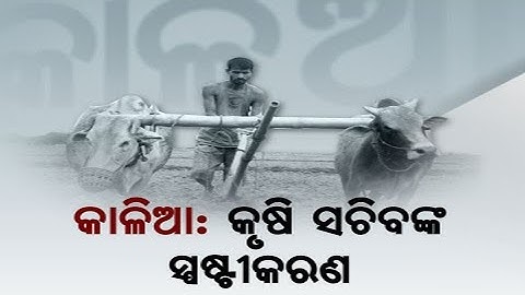 সরকার "কালিয়া" প্রকল্পে তালিকাভুক্তির জন্য সময়সীমা বাড়িয়েছে: কৃষি সচিব সৌরভ গর্গ