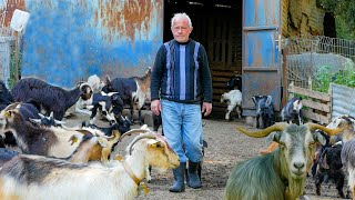 Ο Ανδρέας και τα γίδια του | Η ζωή ενός τελευταίου ορεινού κτηνοτρόφου