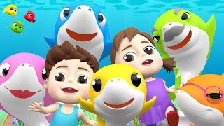 Baby Shark 🦈 baby song & nursery rhymes kids song, baby shark family