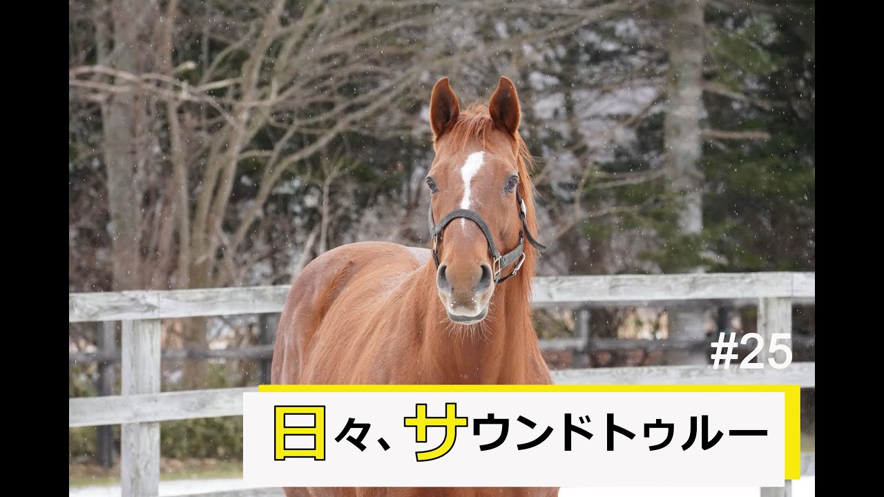 日々、サウンドトゥルー#24 - YouTube