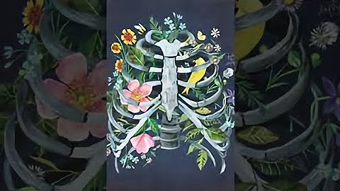 سورة الشرح حسام الدين عبادي احلى راحه نفسيه تحتاجه في 34 ثانيه 🌸💛