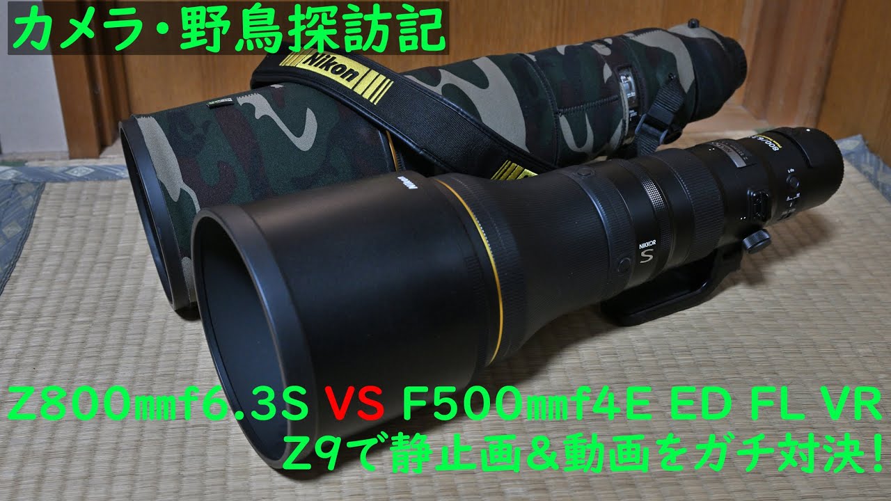カメラ 望遠レンズ ニコン、野鳥・動物・飛行機向けの超望遠ズーム「NIKKOR Z 180