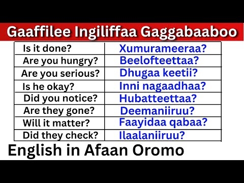 Gaaffilee Ingiliffaa Gaggabaaboo Kutaa 6 English In Afaan Oromo English Question In Afaan Oromo 6 