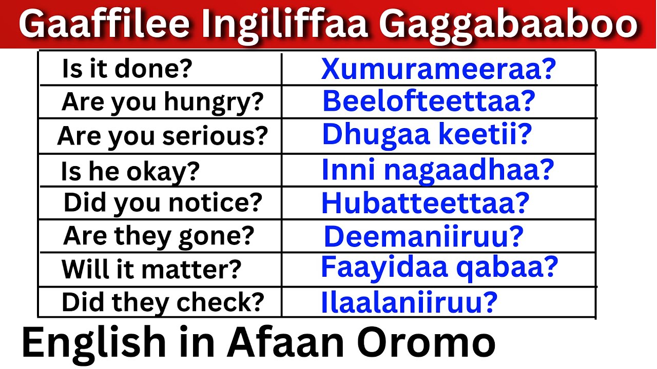 Gaaffilee Ingiliffaa Gaggabaaboo Kutaa 6  (English in Afaan Oromo) English Question in Afaan Oromo 6