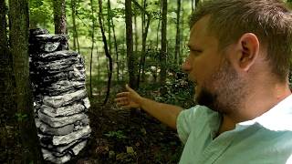 Stone Ruins Found! Forgotten Homestead Hidden in Talbot County, Georgia Woods