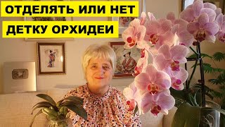 :     ..  