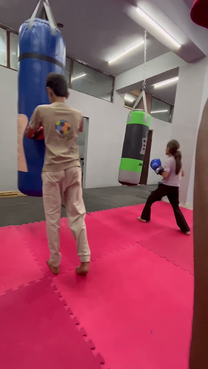 Mix Martial Art  Training