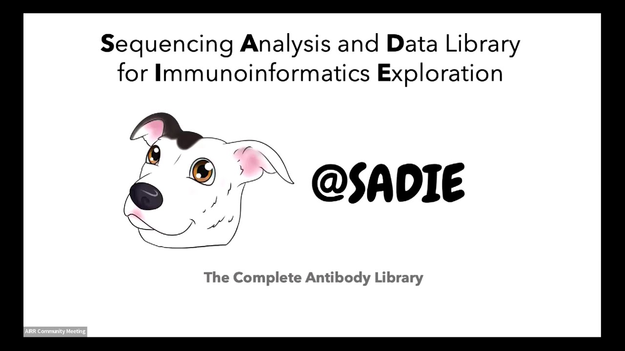 AIRRC6 - Lightning Demo 08 - SADIE (Jordan Willis)
