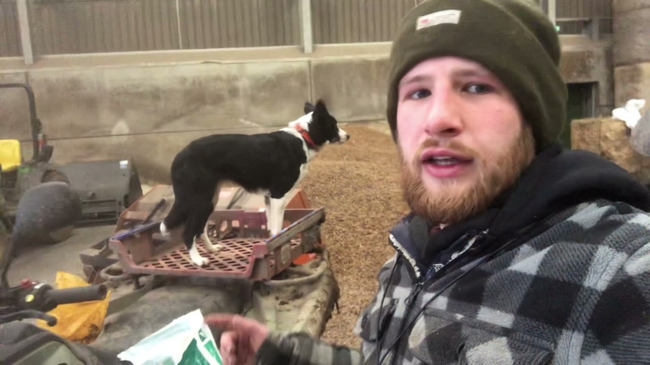 Рождественское видео Рождественский блог