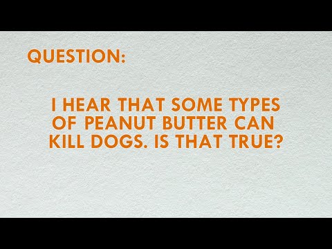 will peanut butter hurt a dog