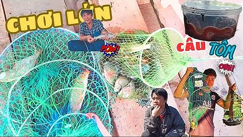 Lần Đầu Lên Bè Tân Mai Biên Hòa Câu Cá Sông , Câu Tôm Và Cái Kết Chơi Lớn ✅✅