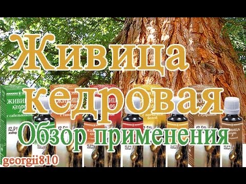 Живица кедровая. Области применения