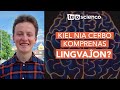 Kiel nia cerbo komprenas lingvaĵon? - Michael Vrazitulis - TEJO-scienco