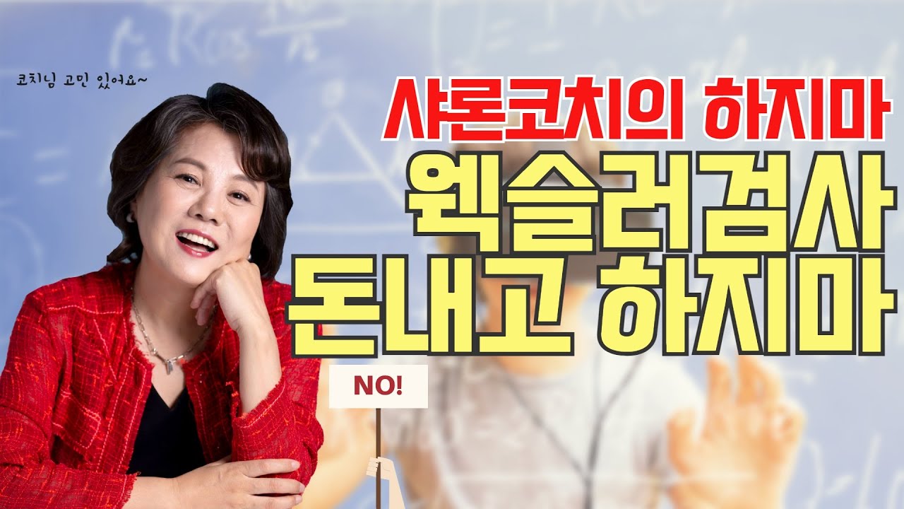 [하지마] 웩슬러검사 돈내고 하지마 #초등고 #IQ100