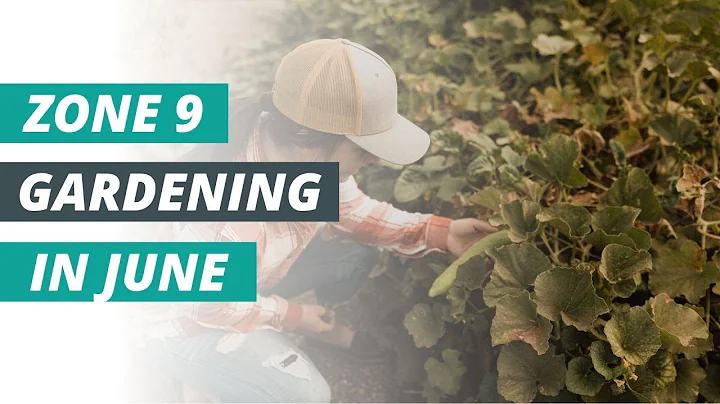 Must-Have Gardening Tips for June in Zone 9!