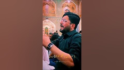 Mir Hasan Mir | 21 June 2023 | Najaf Ashraf Jashan Status By KarbaLa 92#shortsviralvideo2023