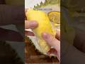 Eat Durian For The First Time Follow NickDiGiovanni Shorts Eat Durian For The First Time Follow NickDiGiovanni Shorts