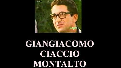 Quali sono i vari tipi di mafia?