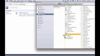 Introduction to Harp Web Server