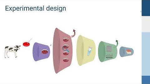 PPGCBIO UFJF - Robert Domingues Thesis