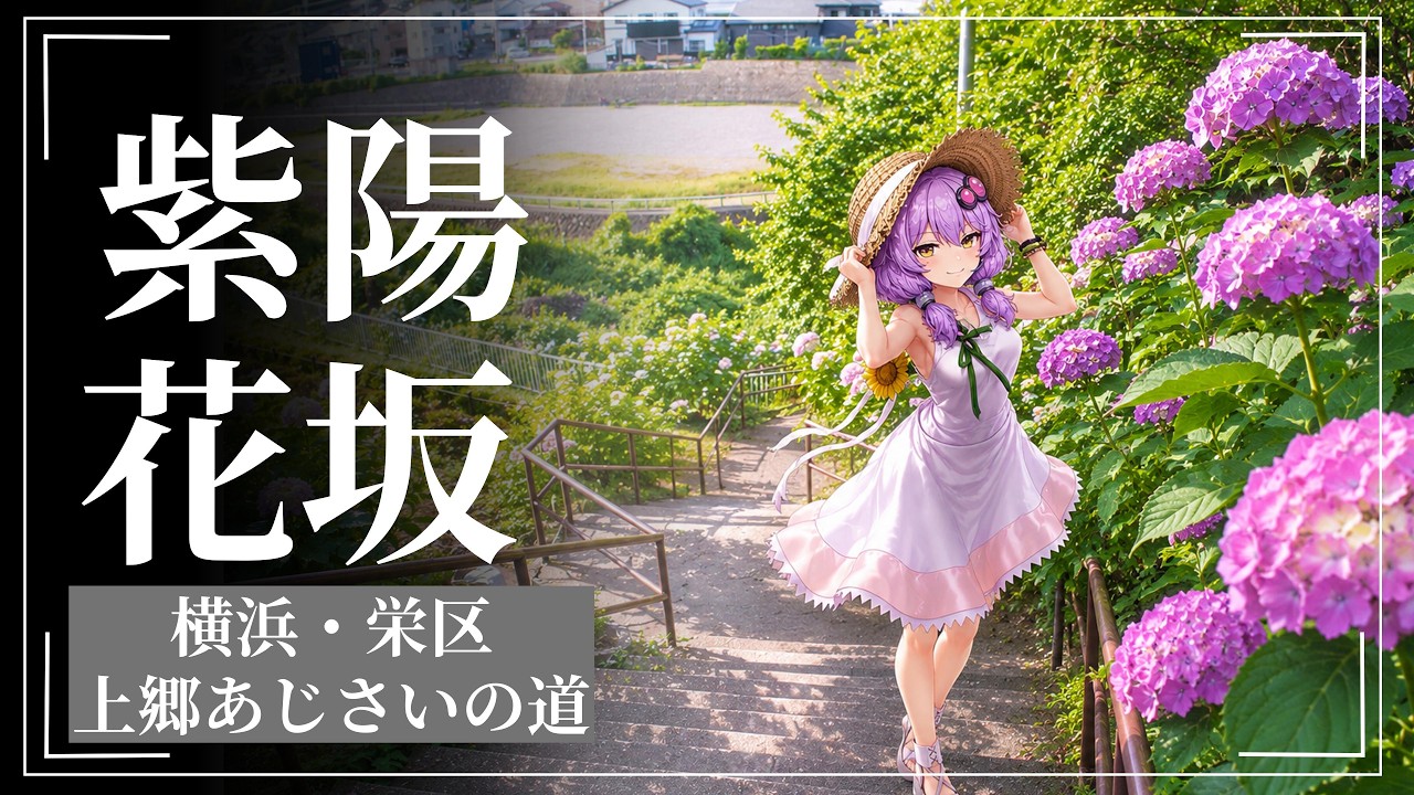 いたち川でアジサイさんぽ 個性豊かな紫陽花たち【voiceroid】【横浜