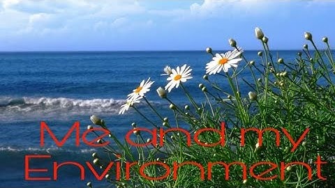 ME AND MY ENVIRONMENT/ VIDEO PRESENTATION