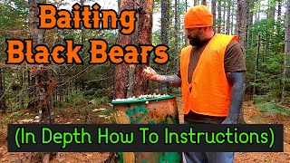 Black Bear Baiting! (an in depth how to video)
