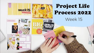Project Life Process 2022- Week 15
