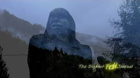 The Bigfoot Field Journal 2021 By J.P. Riley, "Ape...