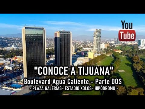 Esta vela se vende como pan caliente 🕯️ 🔥 La creatividad no tiene límite🌟