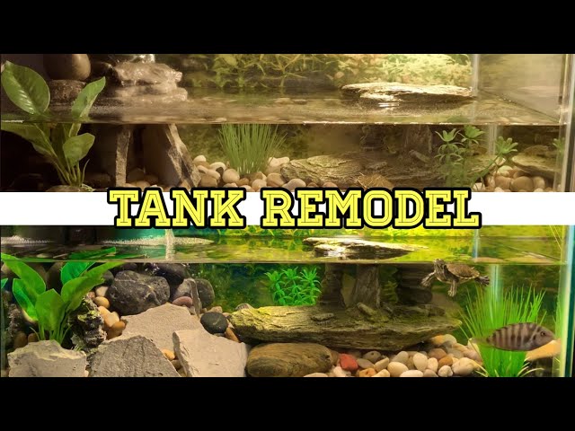 REMODELING My 10 Gallon TURTLE TANK 