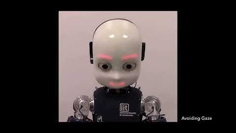 Robot’s social gaze affects conflict resolution but not conflict adaptations-Video 1
