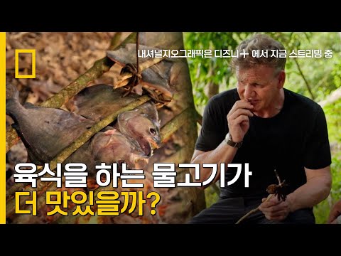 고든 램지의 피라냐 구이, 근데 이제 타란툴라를 곁들인