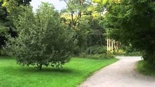 11 Carrabassett Dr video tour