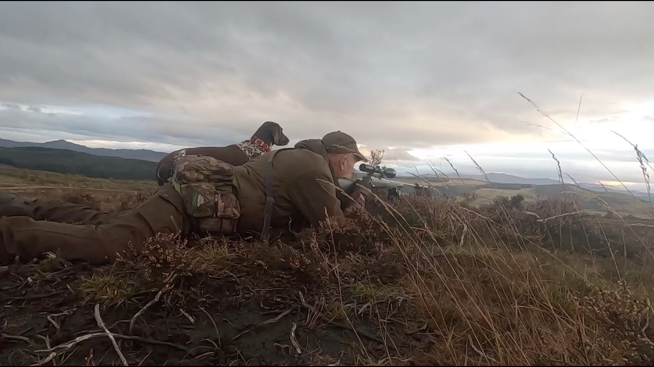 The Shooting Show - Protecting new growth from red deer