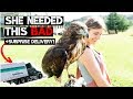 My Hawk Needed this Treatment + Surprise Delivery!