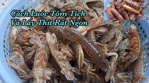 Cách Luộc Tôm Tích Tươi Sống Thịt Chắc Thơm Ngon/Bà Phạm Út