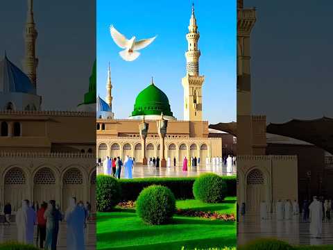 मदीना शरीफ #viral #trending #funny #shortvideo #madina