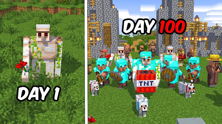 Aku bertahan 100 hari di minecraft jadi iron golem