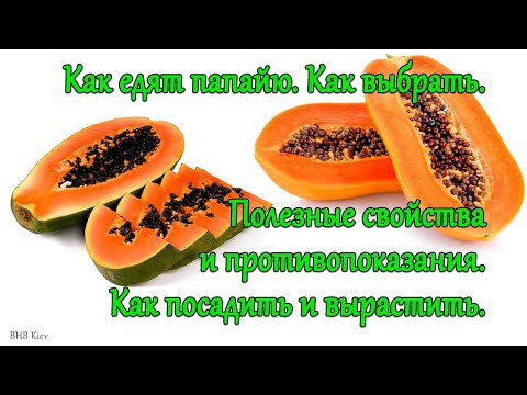 Как едят папайю. Как выбрать спелую. ПОЛЕЗНЫЕ свойства и ПРОТИВОПОКАЗАНИЯ. Как ПОСАДИТЬ и ВЫРАСТИТЬ